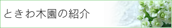 ときわ木園
